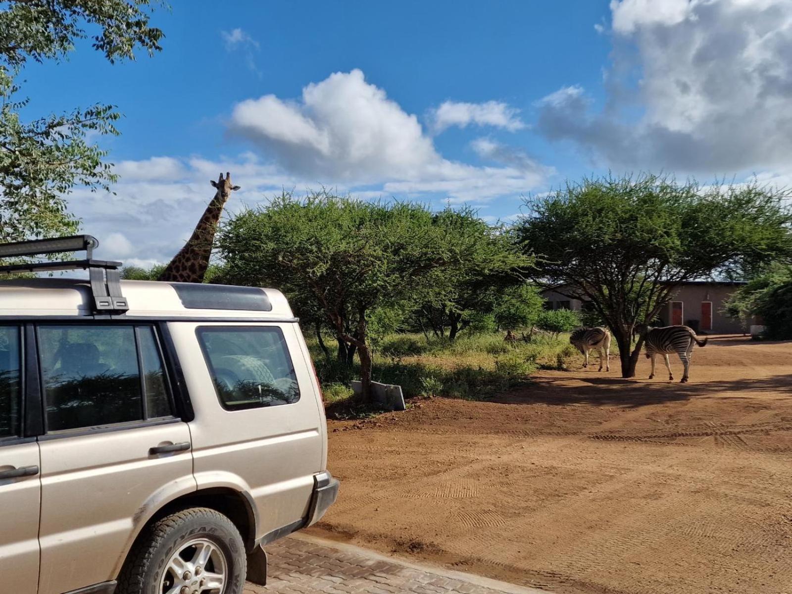 Thandolwami Bushlodge & Spa Ходспруит Екстериор снимка