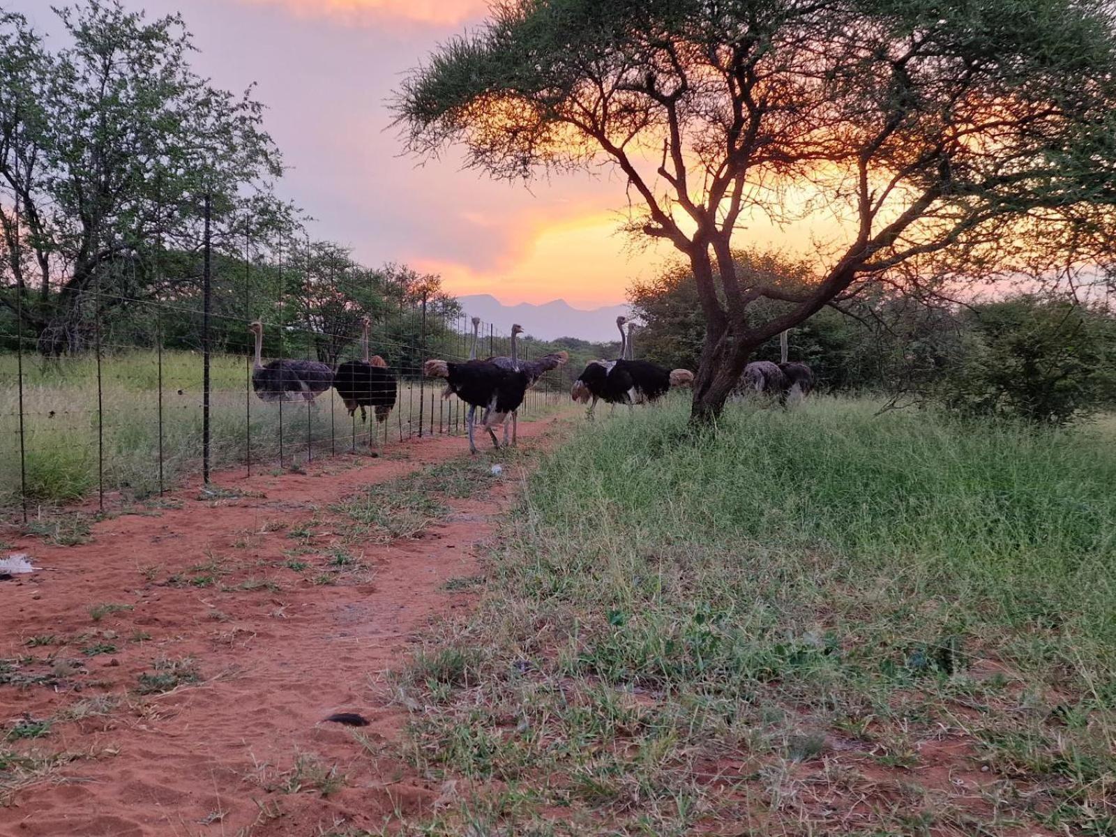 Thandolwami Bushlodge & Spa Ходспруит Екстериор снимка