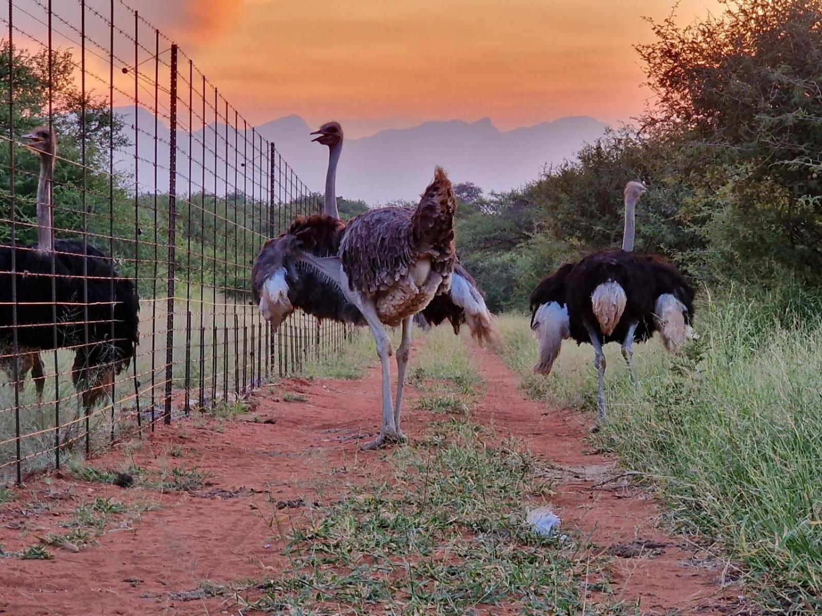 Thandolwami Bushlodge & Spa Ходспруит Екстериор снимка