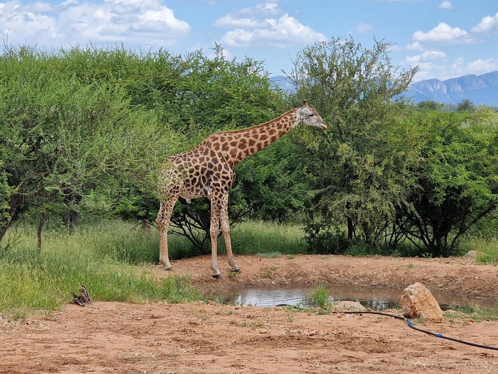 Thandolwami Bushlodge & Spa Ходспруит Екстериор снимка