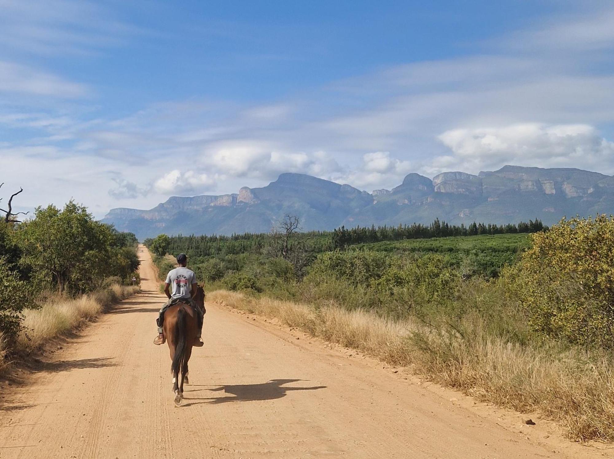 Thandolwami Bushlodge & Spa Ходспруит Екстериор снимка